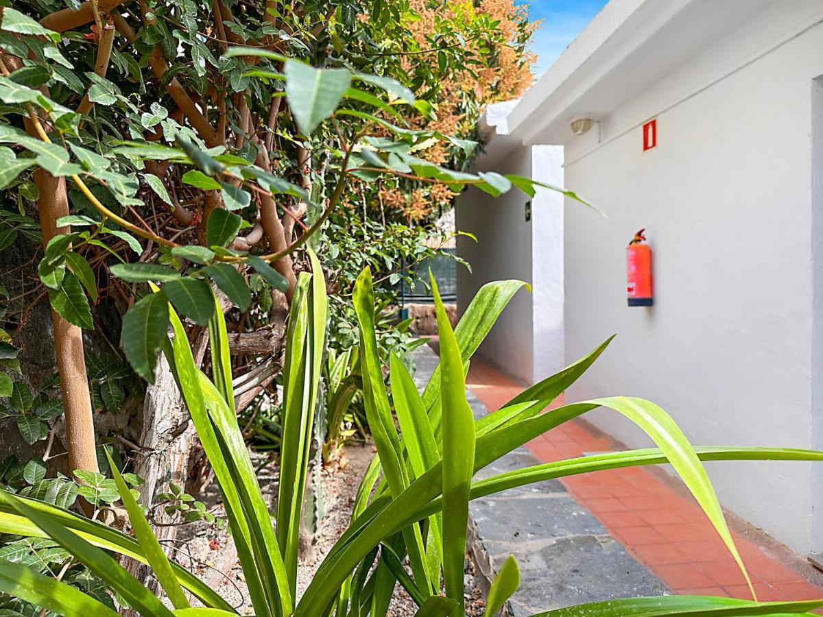 Apartamentos Laguna Puerto Rico  Dış mekan fotoğraf